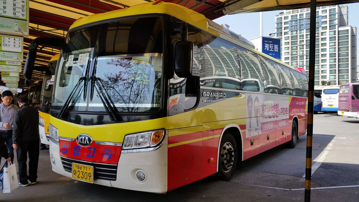 Korean bus